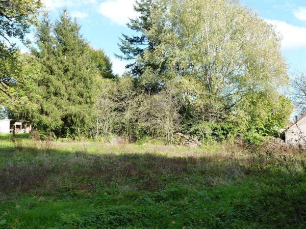 Maison rurale à vendre à Villard en Creuse (23800), ref : VD/334