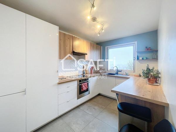 BEL ET GRAND APPARTEMENT FAMILIAL 4 CHAMBRES EN CENTRE-VILLE