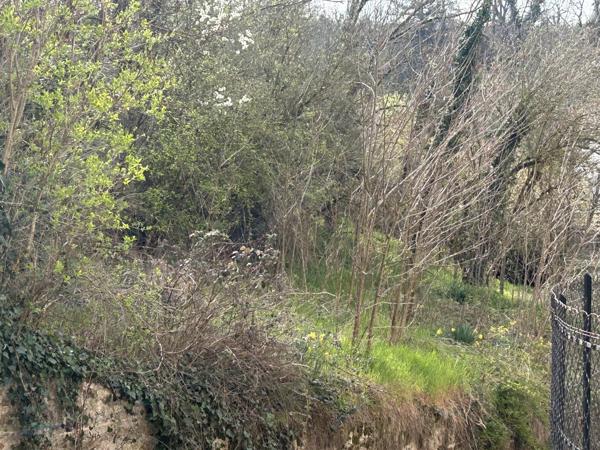 Vente                                                      Maison
                        
                     4 pièces                      54 m2                     à Jumeaux