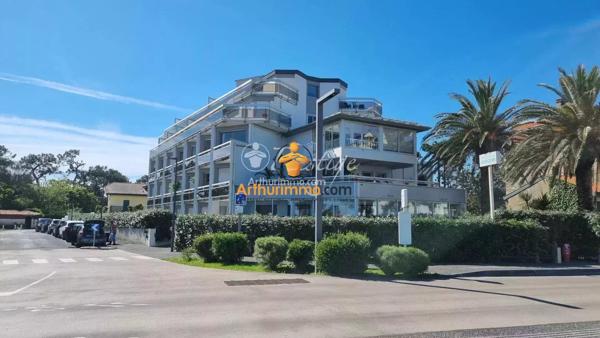 Vente                                                      Appartement
                        
                     1 pièces                      23 m2                     à Anglet