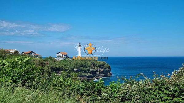 Vente                                                      Appartement
                        
                     1 pièces                      23 m2                     à Anglet