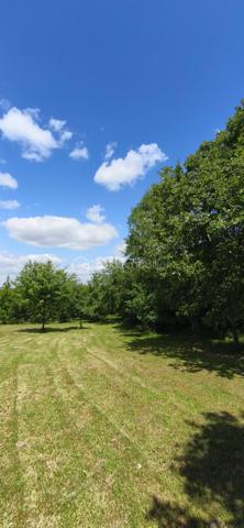 Vends belle parcelle constructible de 1025 M2 proche Monclar de Quercy, à 20 minutes de Montauban et de Gaillac. A 5 minutes de toutes commodités, ce terrain au calme vous offre un environnement calme et champêtre. Venez visiter ce charmant lieu et vous serez séduit.

PRIX H.A.I. : 35000 €

Contactez votre conseiller BSK Immobilier :
PIERLOT Corentin - Agent commercial immatriculé au RSAC d'Albi sous le numéro 521641936.

INFORMATIONS ET VISITES : 0621220824
