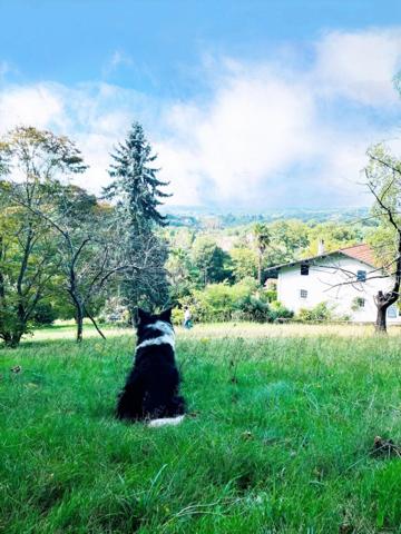 Cambo les bains avec vue à 180 degrés, propriété sur 6500m2 de terrain