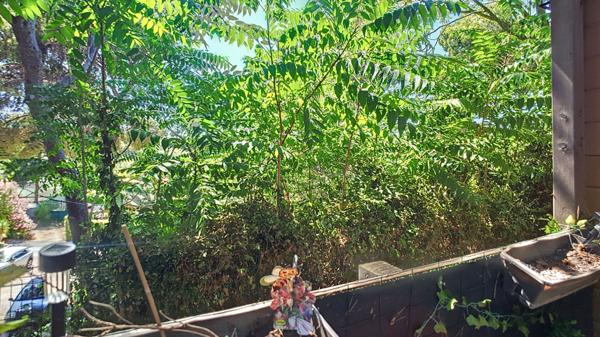 Charmant chalet T2 de 25 m2 sur Terrain de Loisirs viabilisé de100 m2