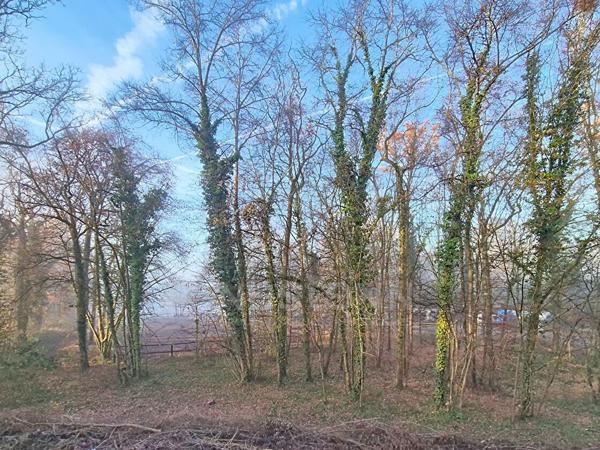 Appartement Gouvieux 2 pièce(s) 39.17 m2