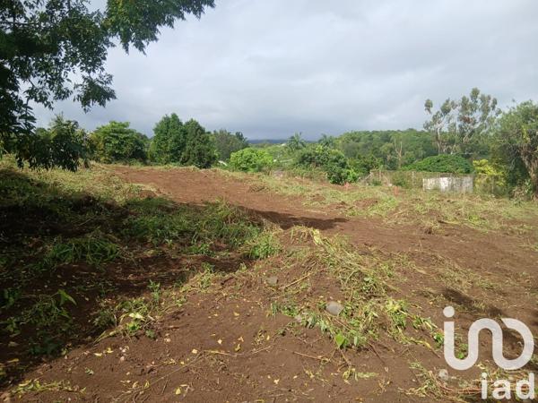 Terrain à vendre 451 m² Saint-Paul