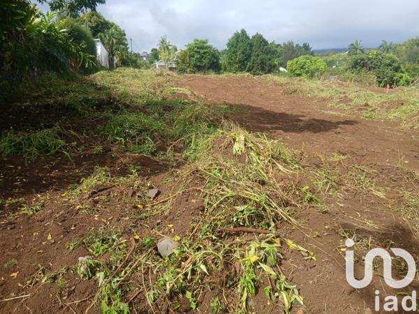 Terrain à vendre 451 m² Saint-Paul