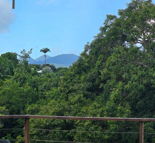 Superbe villa contemporaine style balinais vue dégagée avec piscine à BAIE MAHAULT (971)