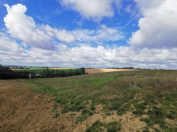 Vente / Terrain constructible