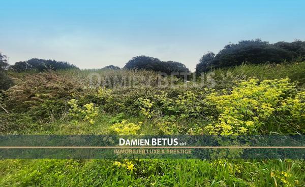 Terrain à vendre de 2 900,00 m² L'ILE D'YEU (85), zone UB