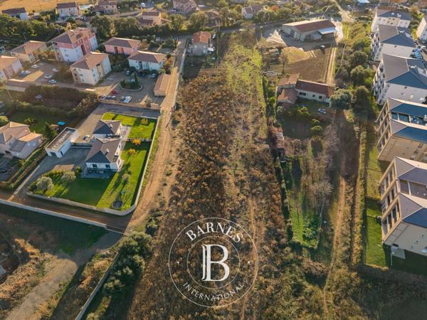 Vescovato, Terrain constructible  12 500 m² à vendre