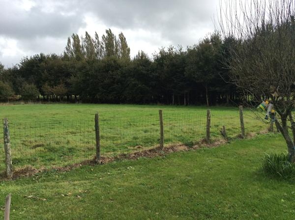 Terrain Questembert 400 m2