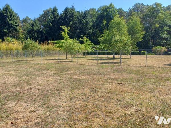 CHANGÉ - Route du Tertre - Terrain Constructible 