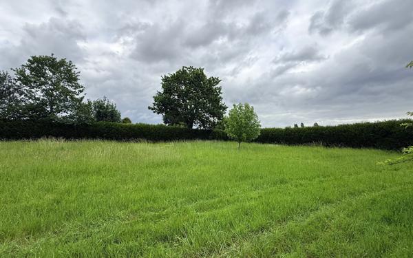 Terrain à vendre