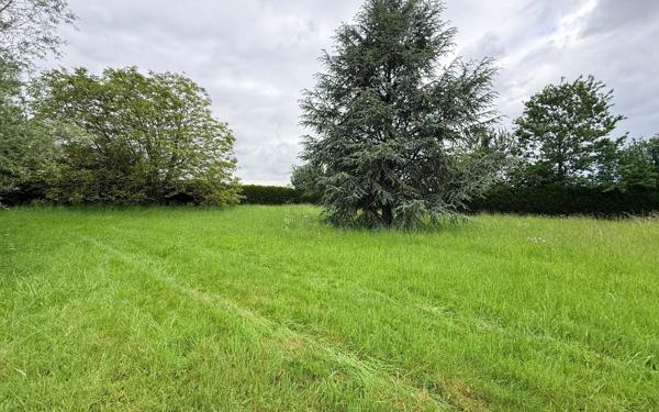 Terrain à vendre