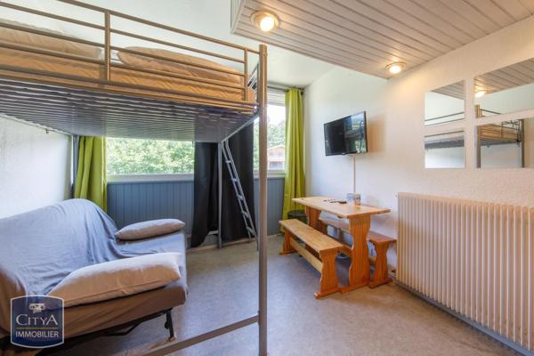 Appartement à vendre 1 pièce 14.2m² Besse-et-Saint-Anastaise (63610)