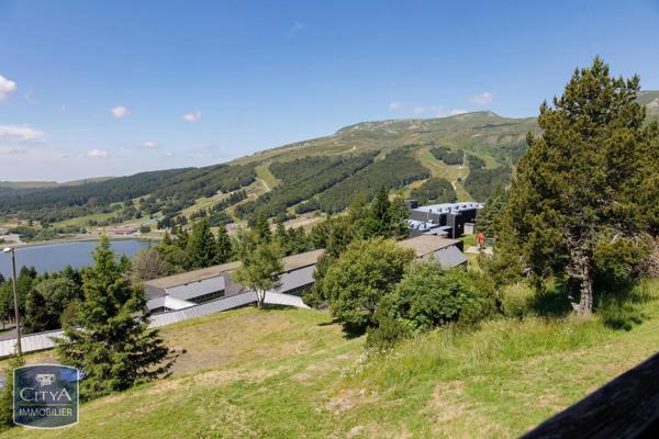 Appartement à vendre 1 pièce 14.2m² Besse-et-Saint-Anastaise (63610)