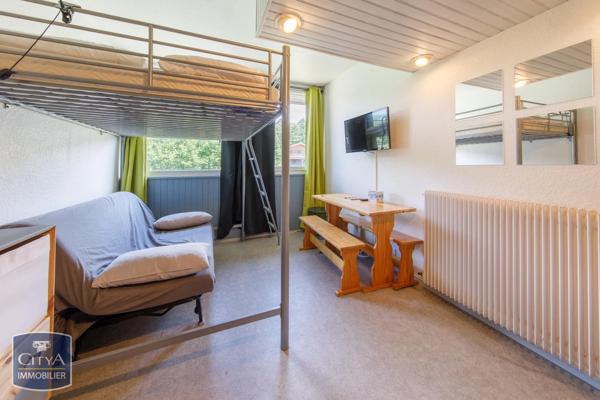 Appartement à vendre 1 pièce 14.2m² Besse-et-Saint-Anastaise (63610)