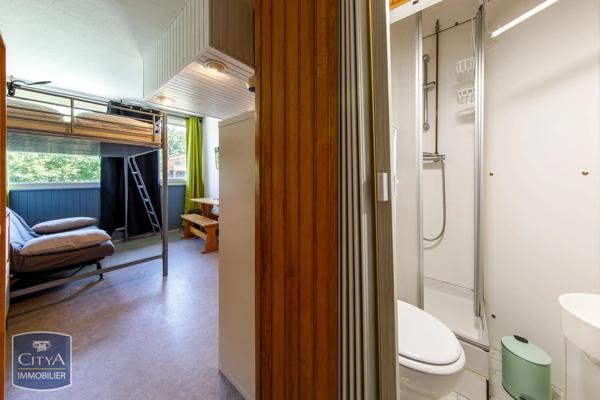 Appartement à vendre 1 pièce 14.2m² Besse-et-Saint-Anastaise (63610)