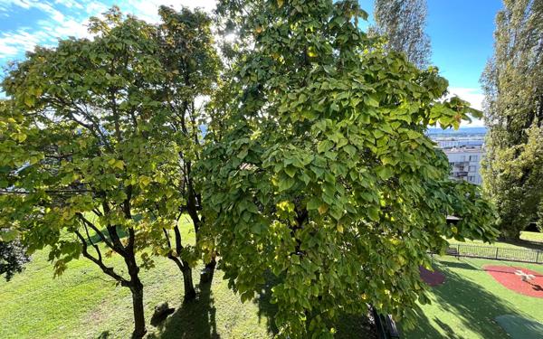 Appartement à louer    3 pièces • 58,30 m2 Neuville-sur-Saône