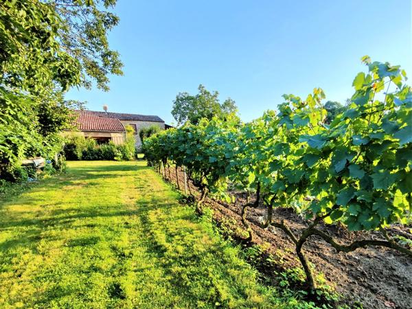 Vente / Corps de ferme