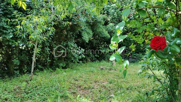 Maison ancienne de 62 m²