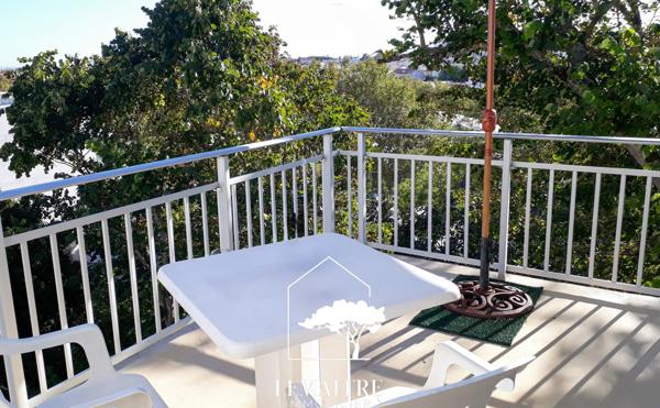 T3 lumineux à 200m du marché , terrasse et 2 parkings