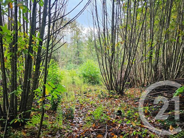 Terrain à vendre  3405 m2 CARLUX - 24