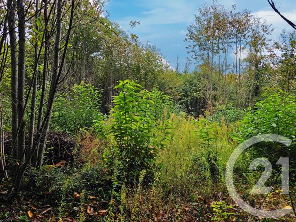 Terrain à vendre  3405 m2 CARLUX - 24