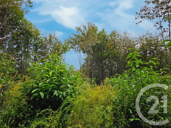 Terrain à vendre  3405 m2 CARLUX - 24