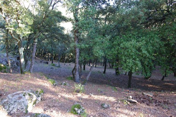 Immobilier Lorgues (83510) – Villa 105m2 – 570 000 €