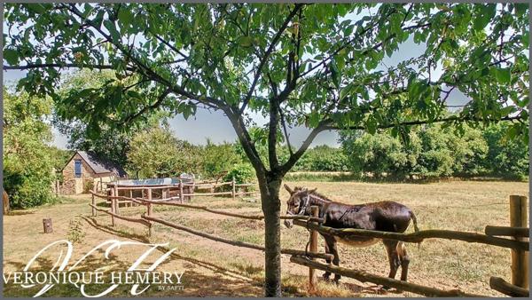 Propriété de charme et de caractère en harmonie avec la nature et le bien être sur plus d'1 hectare