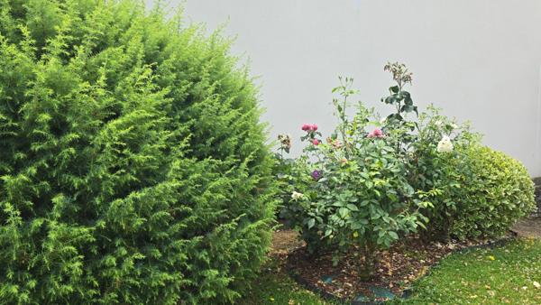 Maison à vendre 7 pièces CESSON SEVIGNE (35)