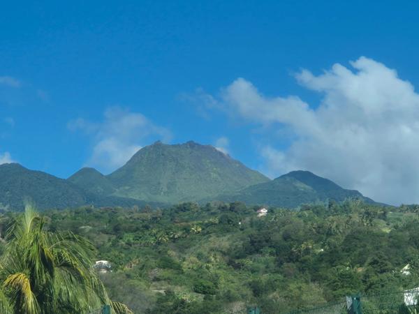 RARE à BASSE-TERRE,Terrain plat 2200 m² avec + de la moitié construtible