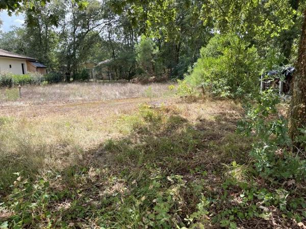 Terrain 152 600 € Salles 741 m² DPE
