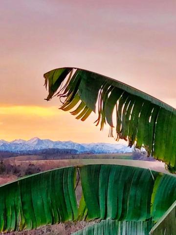 Villa contemporaine aux prestations uniques