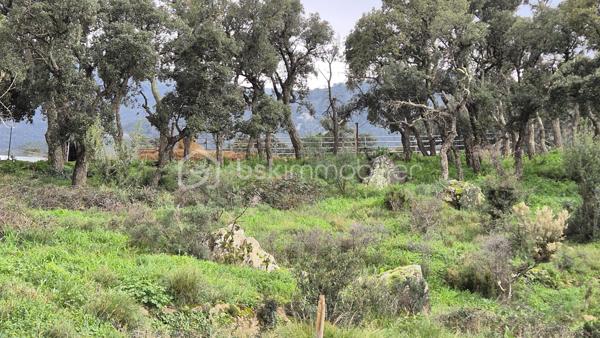Terrain agricole de 56 090 m²