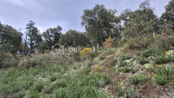 Terrain agricole de 56 090 m²