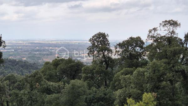 Terrain agricole de 56 090 m²