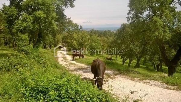 Terrain agricole de 56 090 m²