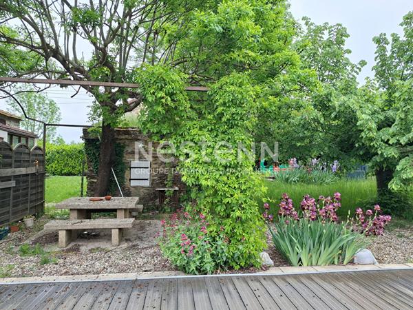 Maison en pierres avec terrain et piscine