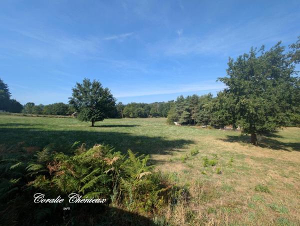 Terrain en partie constructible et agricole