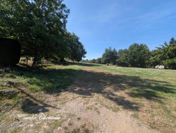 Terrain en partie constructible et agricole