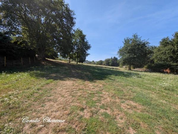 Terrain en partie constructible et agricole