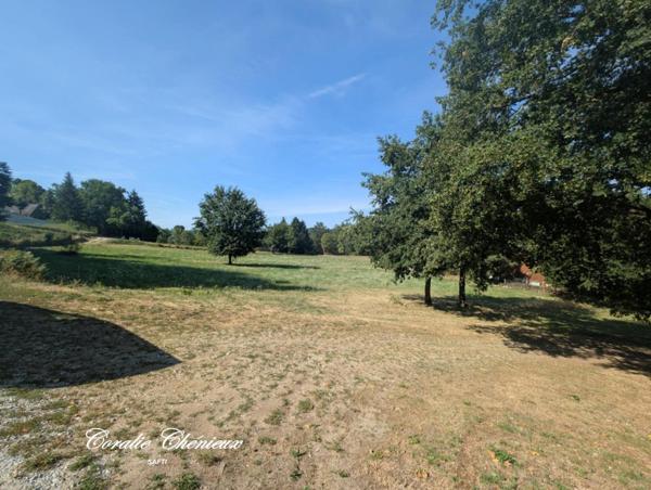 Terrain en partie constructible et agricole
