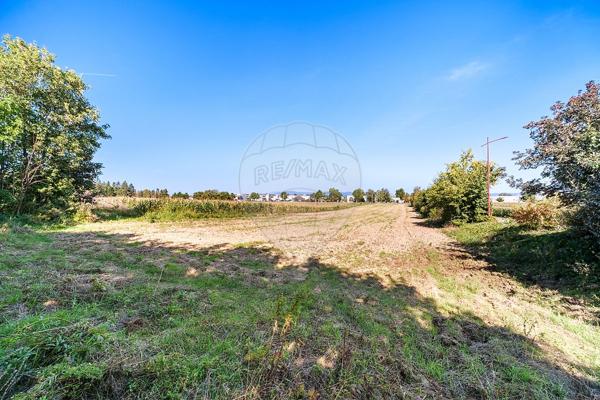 Terrain  en vente - Haut-Rhin - 68