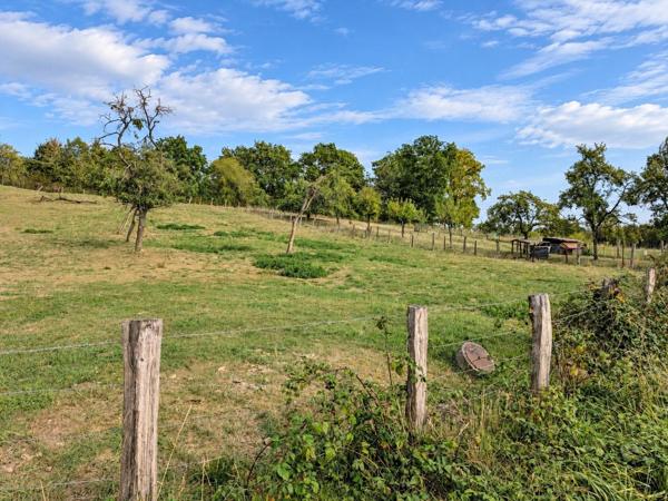 À Vendre – Terrain constructible de 12.47ares dans un écrin de verdure