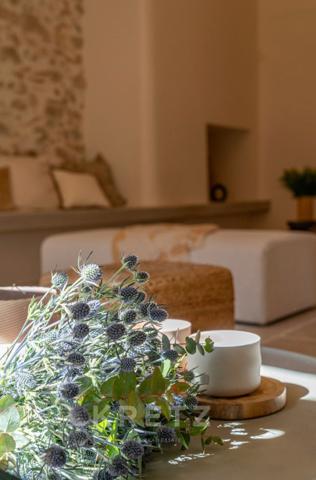 EXCLUSIVITÉ – PROCHE SAINT-REMY-DE-PROVENCE – MAS DU XVIIIe SIÈCLE _ 350 m2 _ 6 chambres