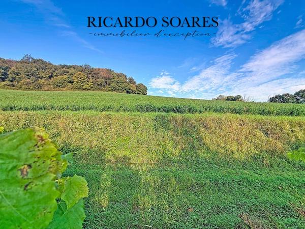 60870 RIEUX - MAISON FAMILIALE 203 m² AU SOL / SOUS-SOL TOTAL 90 m² / 5 CHAMBRES + 1 BUREAU / VERANDA / TERRAIN 730 m²