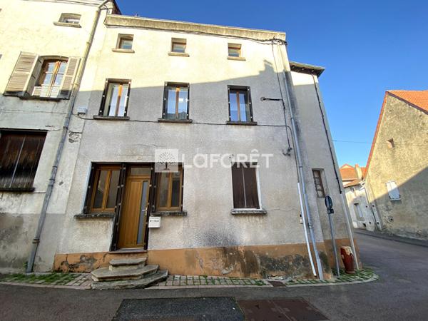 Achat immeuble Saint-Martin-d'Estréaux - 165 m² - 85 000 €